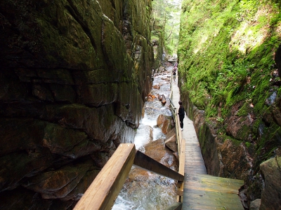 [The same gorge with the stairs now on the right and the water flow on the left. A person in all black is standing on the boardwalk and more of the grass and moss are seen on the wall on the right.]